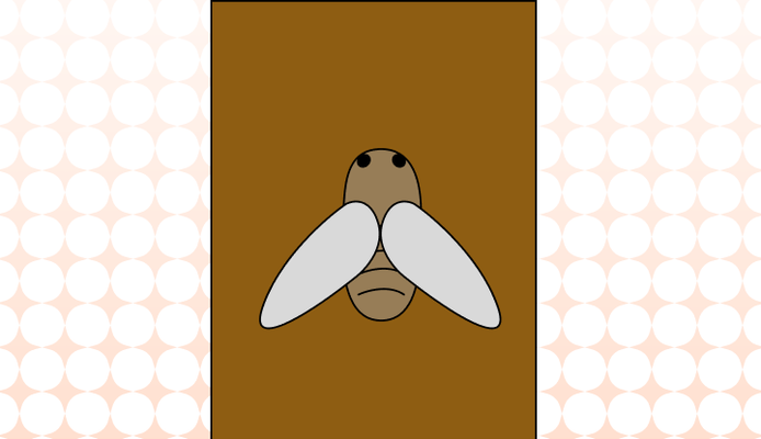 매미 영어로 (Cicada 예시 문장 및 다양한 곤충을 영어 표현)