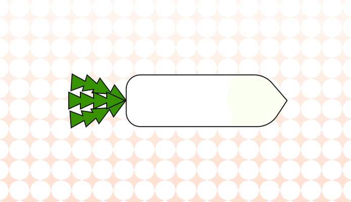 무 영어로 (Daikon, Radish 차이와 뜻)