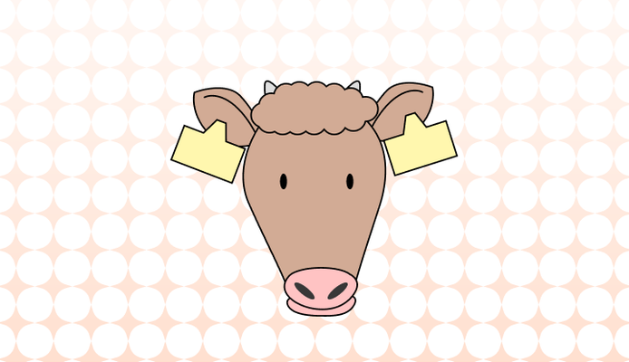 소 영어로 (Cow, Bull, Cattle, Ox 차이와 뜻)