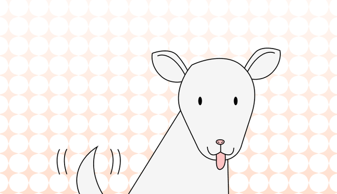 개, 강아지 영어로 (Dog, Puppy, Mutt, Canine, Doggo 차이와 뜻)