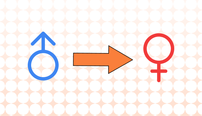 트랜스젠더 영어로 (Transgender, Transsexual, FtM, MtF 차이와 뜻)