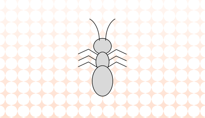 곤충 영어로 (Insect, Bug 차이와 뜻)