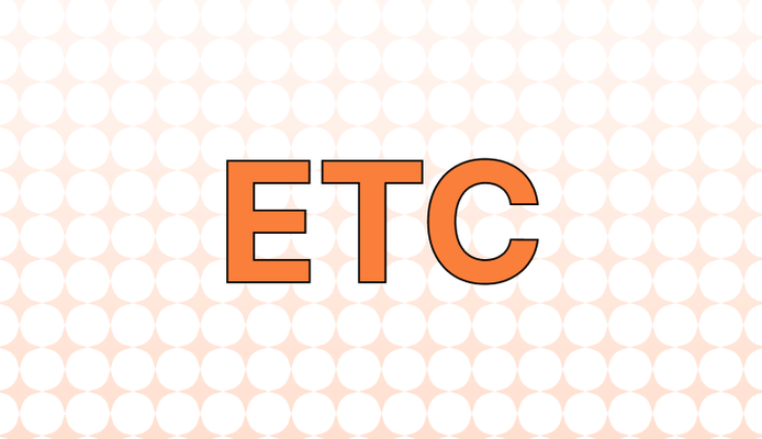 etc. 뜻(기타 등등), 예시, 관련 표현(And So Forth, and So On)