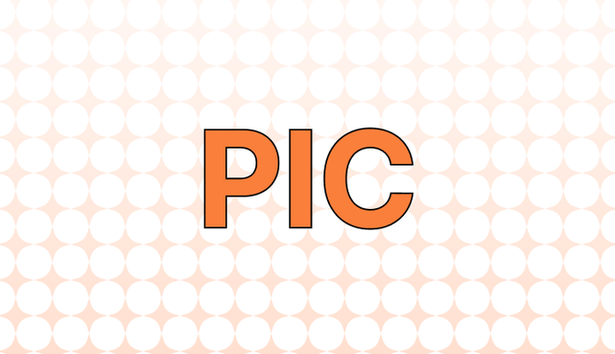 PIC 뜻(사진), 예시, 관련 표현(Selfie, Profile Pic, Snapshot)