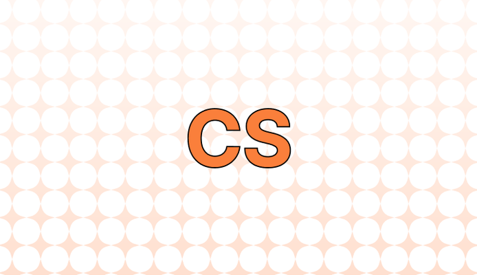 CS 뜻(고객 서비스), 예시, 관련 표현(CX)