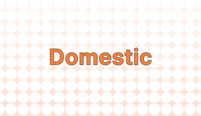 Domestic 뜻과 예시