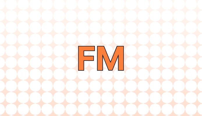 FM 뜻(현장 지침서, 주파수 변조), 예시, 관련 표현(AM)