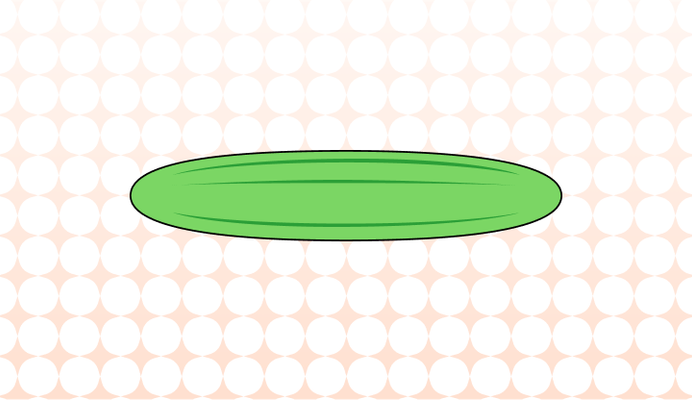 애호박 영어로 (Korean Zucchini, Zucchini, Courgette 차이와 뜻)