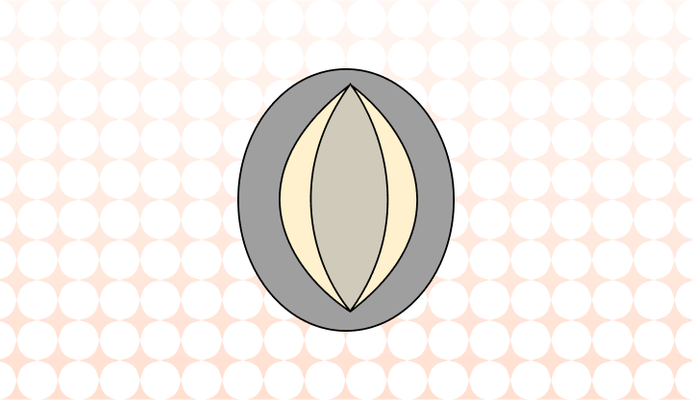 전복 영어로 (Abalone, Ear Shell, Sea Ears, Muttonshell 차이와 뜻)