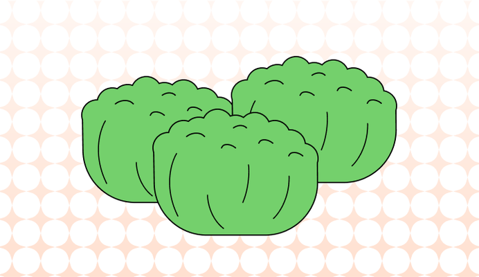 양배추 영어로 (Cabbage, Brussels Sprout 차이와 뜻)