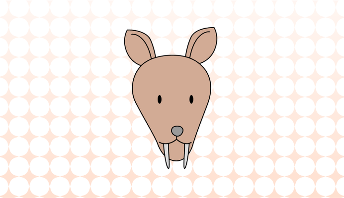 고라니 영어로 (Water Deer, River Deer 차이와 뜻)