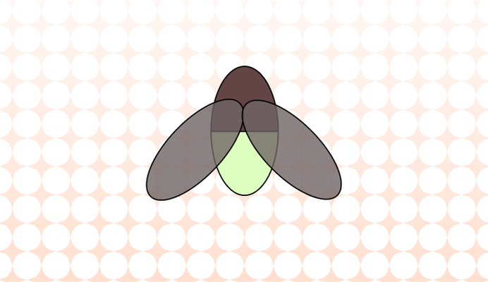 반딧불이, 개똥벌레 영어로 (Firefly, Lightning Bug, Glowworm 차이와 뜻)