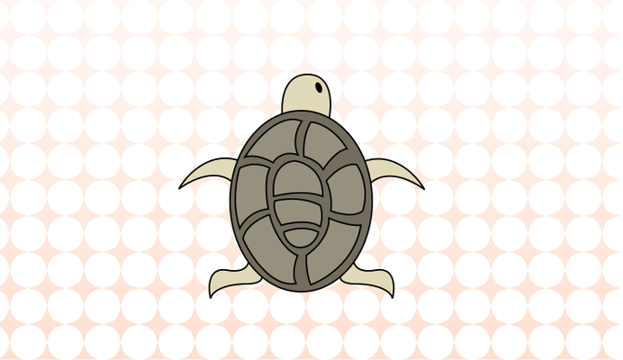 거북이 영어로 (Turtle, Tortoise, Cooter 차이와 뜻)