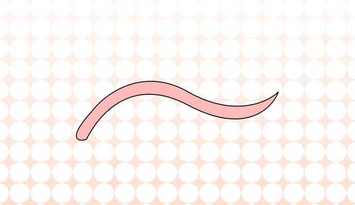 지렁이 영어로 (Earthworm, Rainworm, Fishworm 차이와 뜻)