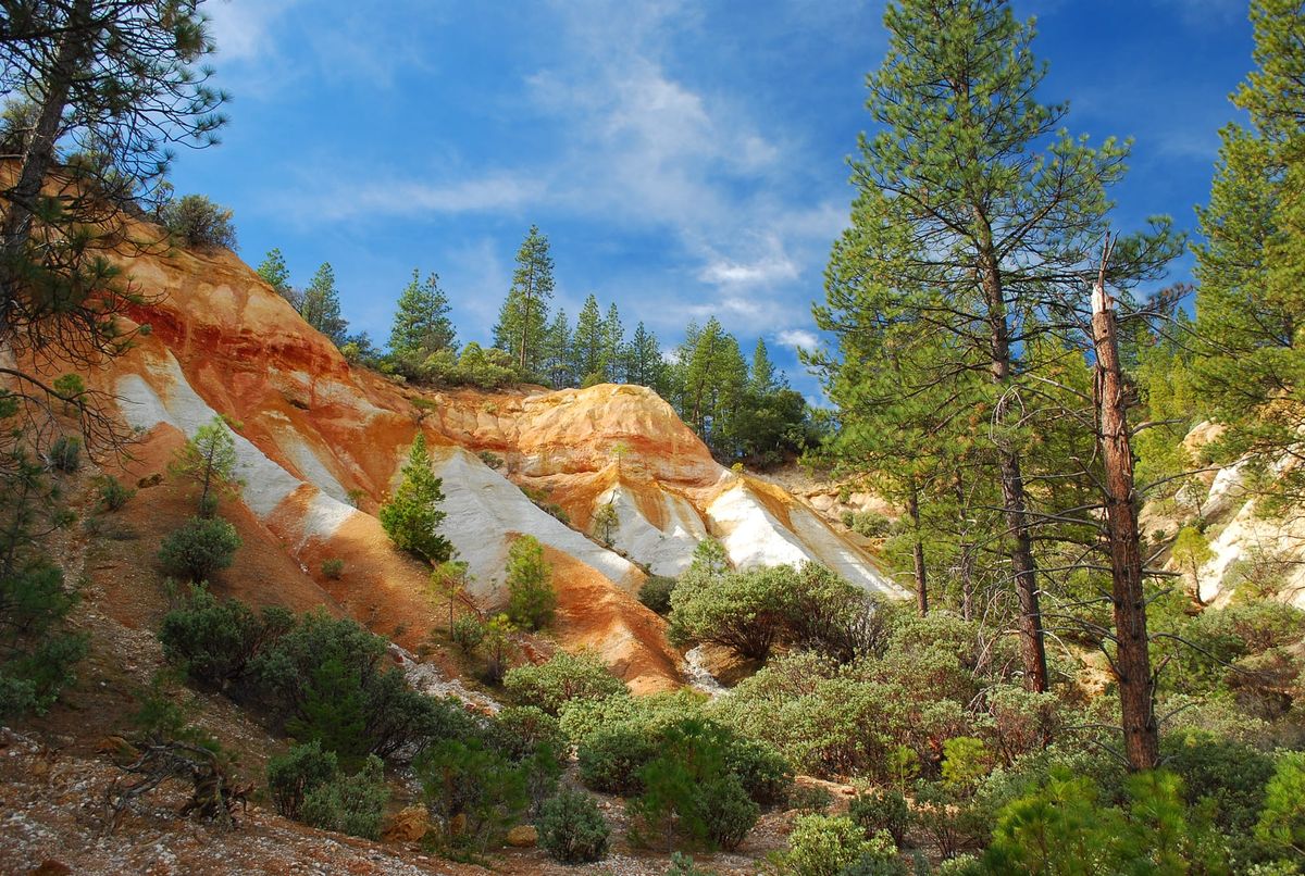 Colorful exposed mineral deposits at Malakoff Diggins State Historic Park, featuring striking orange and white clay formations surrounded by pine trees under a blue sky.