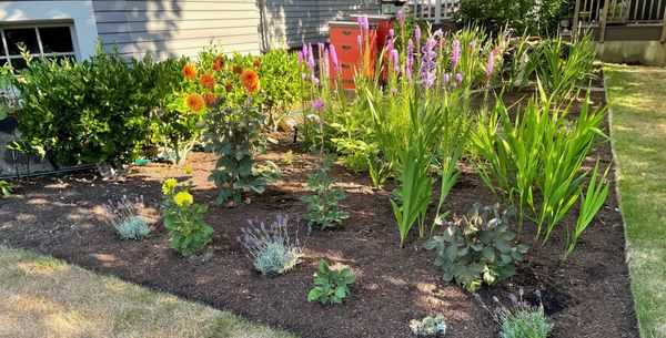 On Extraction and Innovation: Startups Aren’t Bee Colonies