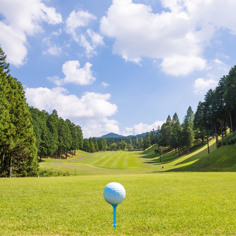 A golfer playing on a golf course