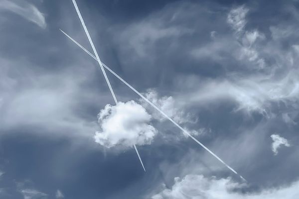 The Insider Brief — Wednesday 19 August 2026