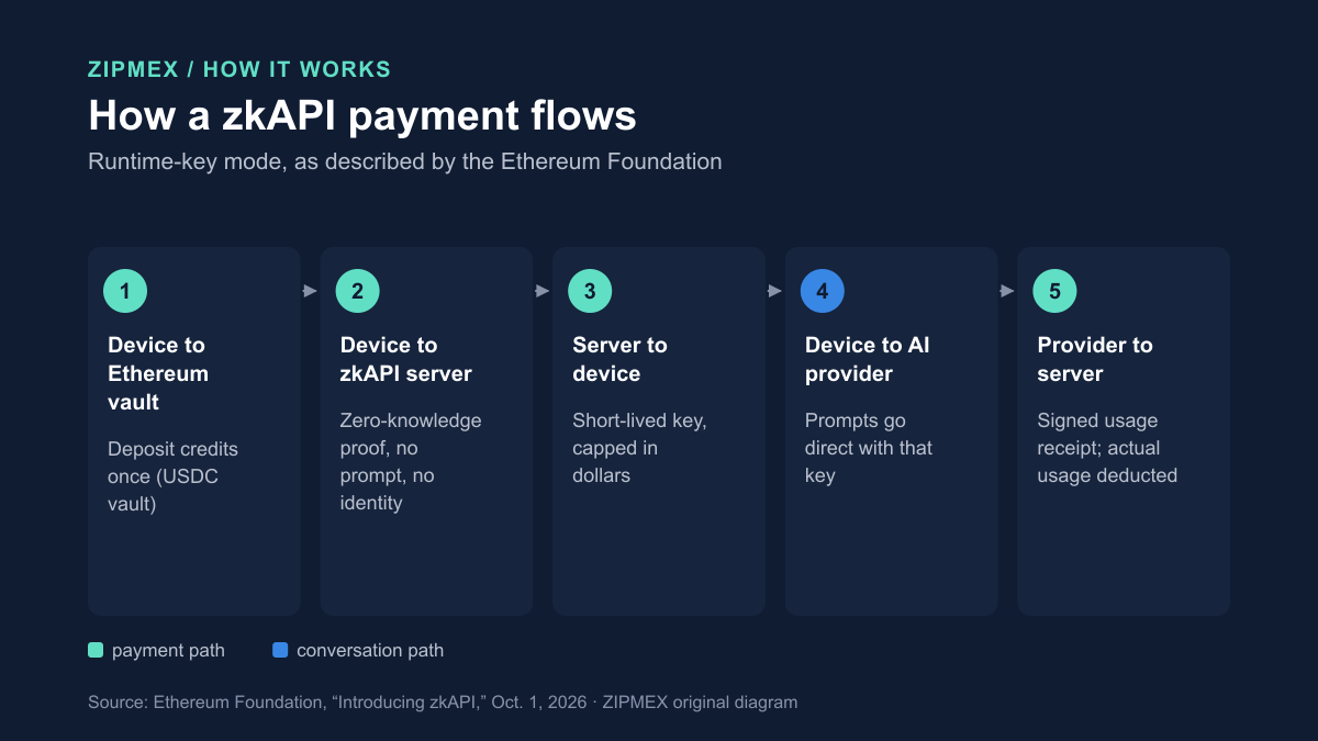 Flow diagram. Your device deposits credits into an Ethereum vault (the mainnet vault holds USDC), sends the zkAPI server a zero-knowledge proof with no prompt or identity, receives a short-lived key capped in dollars, and sends prompts straight to the AI provider. When the key expires, the provider side records usage in a signed receipt and the server deducts it.