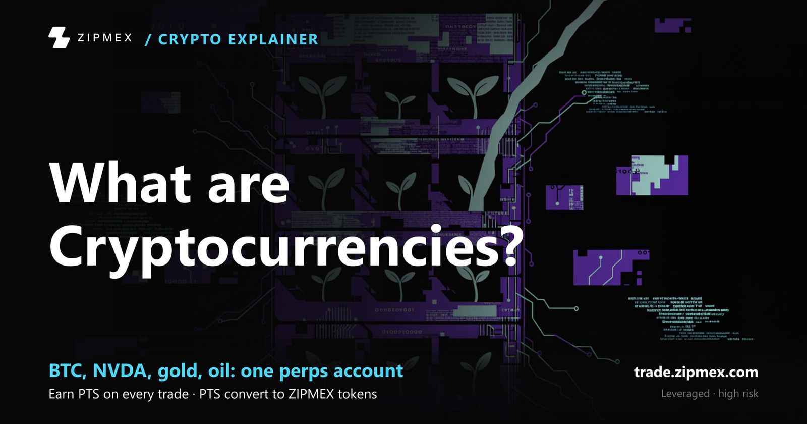 10 Best Crypto to Buy in January 2022 Before It Skyrockets