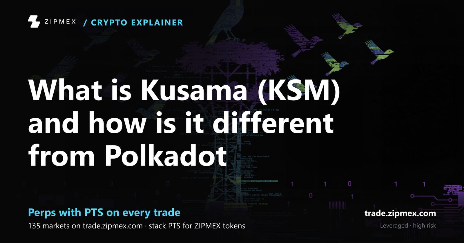 What is Kusama (KSM) and how is it different from Polkadot