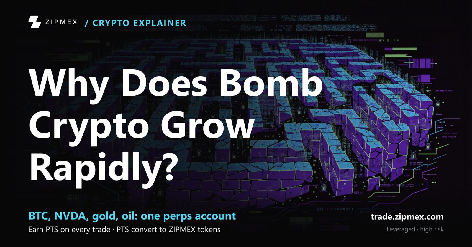Bomb Crypto Game: How to Play and Play-to-Earn