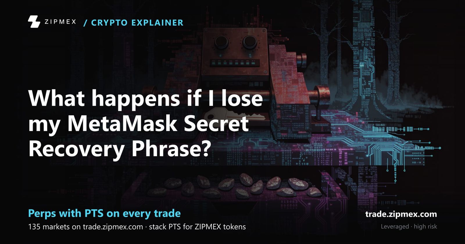 How to Set Up a MetaMask Wallet: Complete Beginner's Guide (2026)