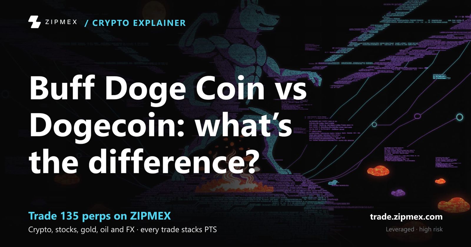 Buff Doge Coin VS Dogecoin, What Are The Differences?
