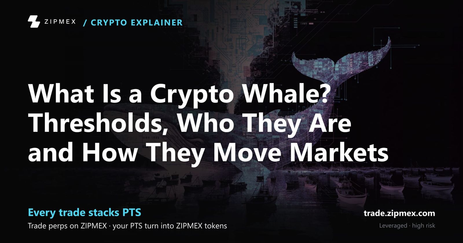 What Is a Crypto Whale? Thresholds, Who They Are and How They Move Markets