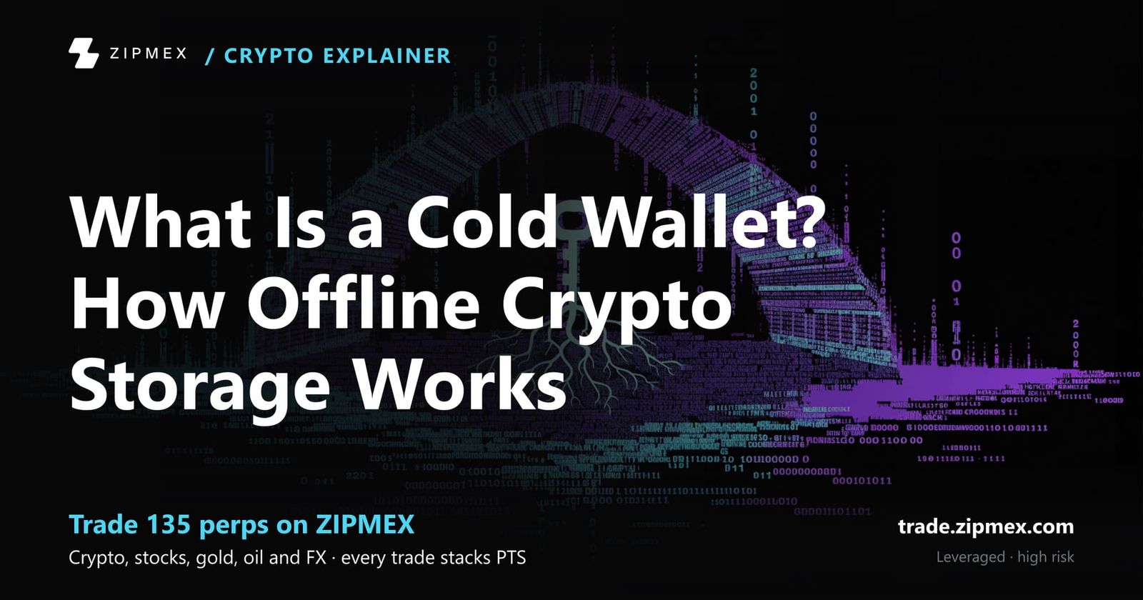 What Is a Cold Wallet? How Offline Crypto Storage Works