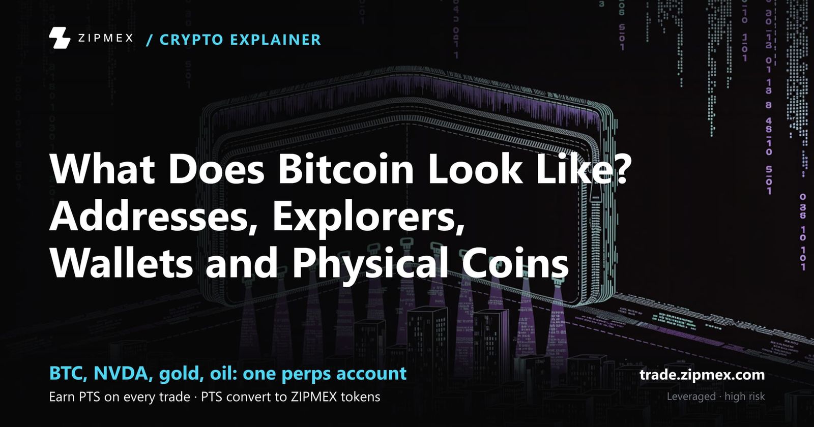 What Does Bitcoin Look Like? Addresses, Explorers, Wallets and Physical Coins
