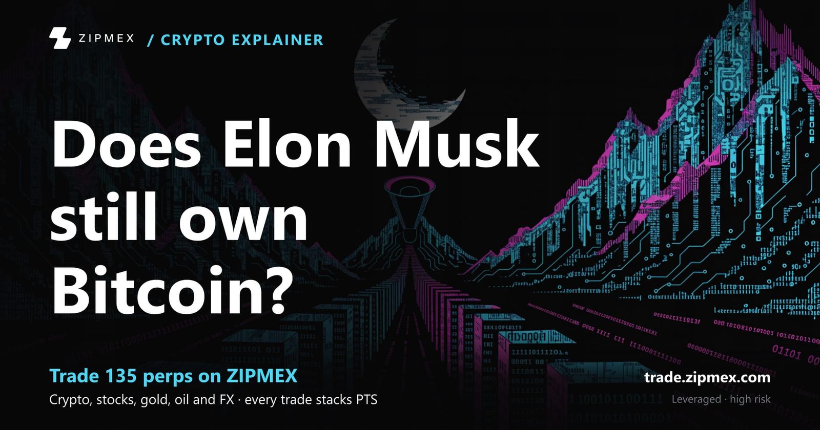 Elon Musk Bitcoin Price Impact: Expert Guide & Trading Strategies (2026 Edition)