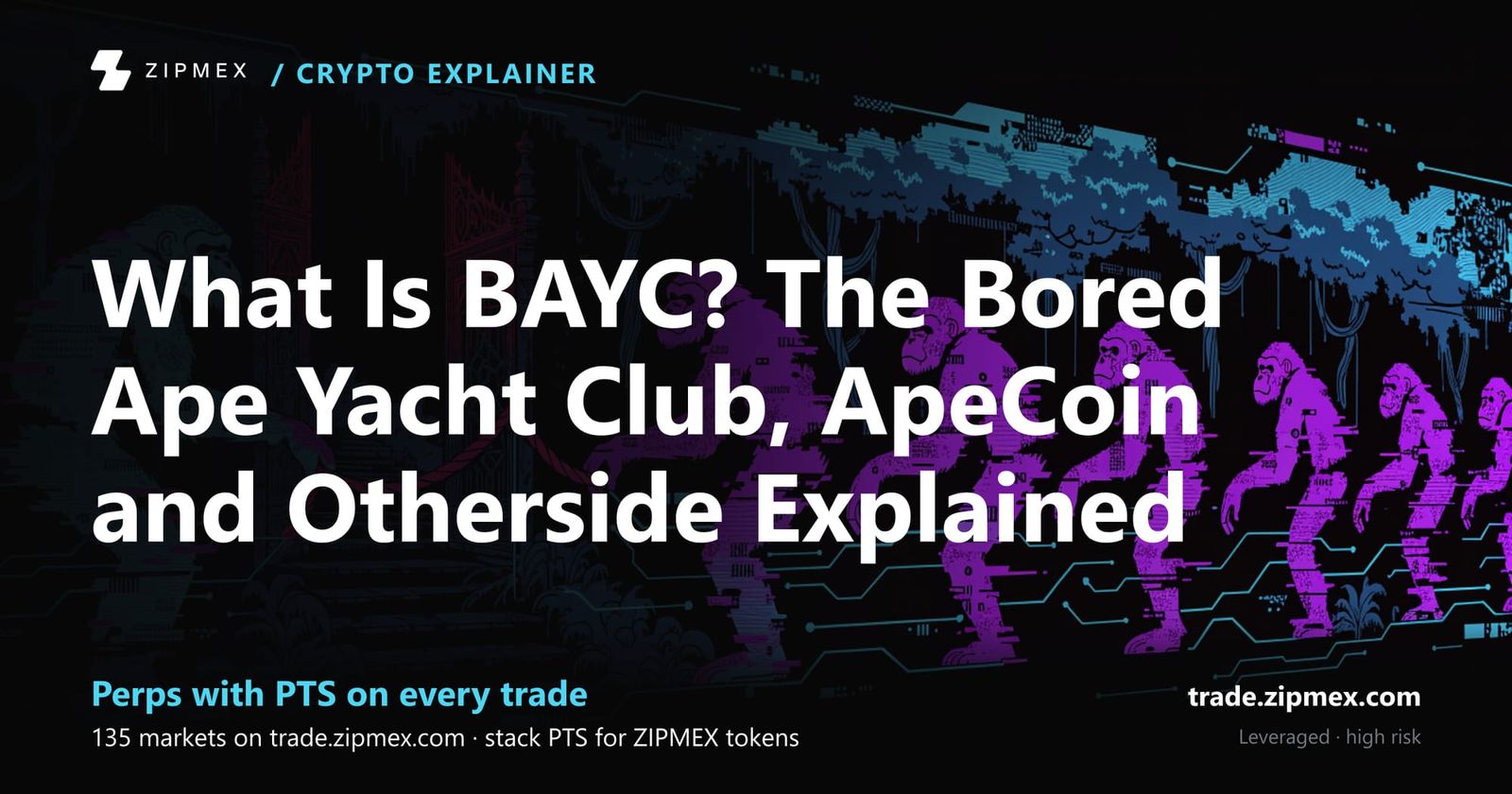 What Is BAYC? The Bored Ape Yacht Club, ApeCoin and Otherside Explained