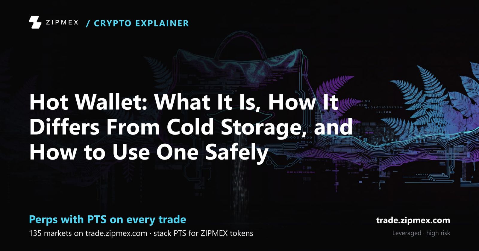 Hot Wallet: What It Is, How It Differs From Cold Storage, and How to Use One Safely