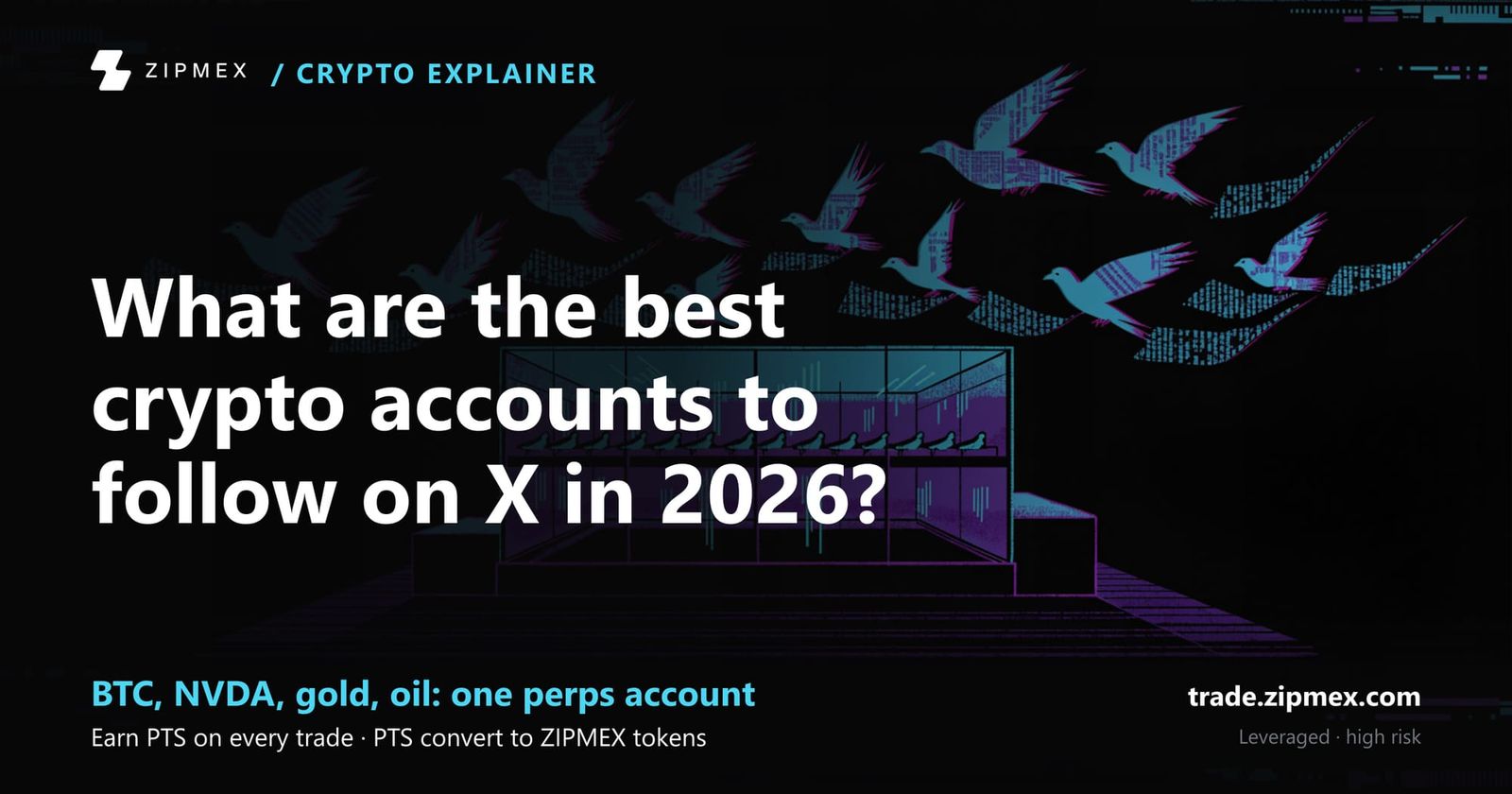 Best Crypto Twitter Accounts to Follow in 2026: Watcher Guru, Whale Alert & Saylor on X