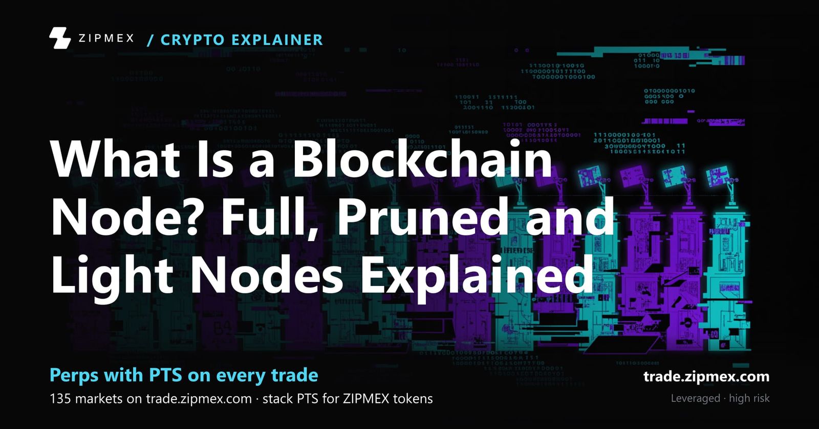 What Is a Blockchain Node? Full, Pruned and Light Nodes Explained
