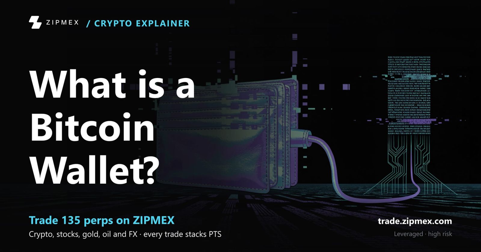 Bitcoin Wallets