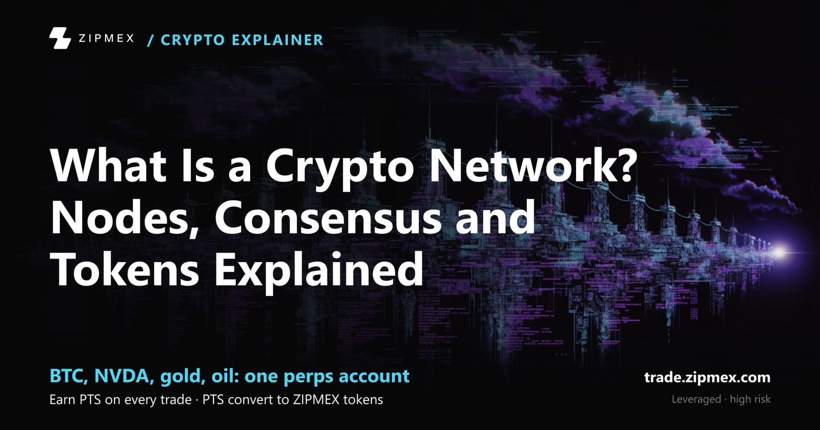 What Is a Crypto Network? Nodes, Consensus and Tokens Explained