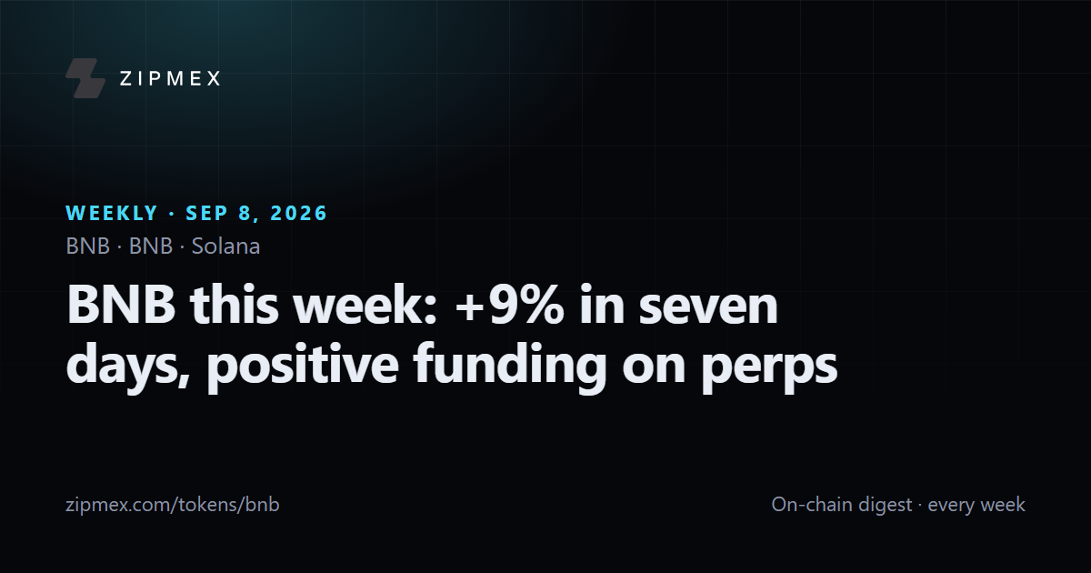 BNB this week: +9% in seven days, positive funding on perps