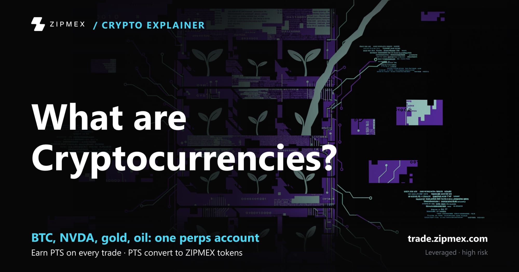 10 Best Crypto to Buy in January 2022 Before It Skyrockets