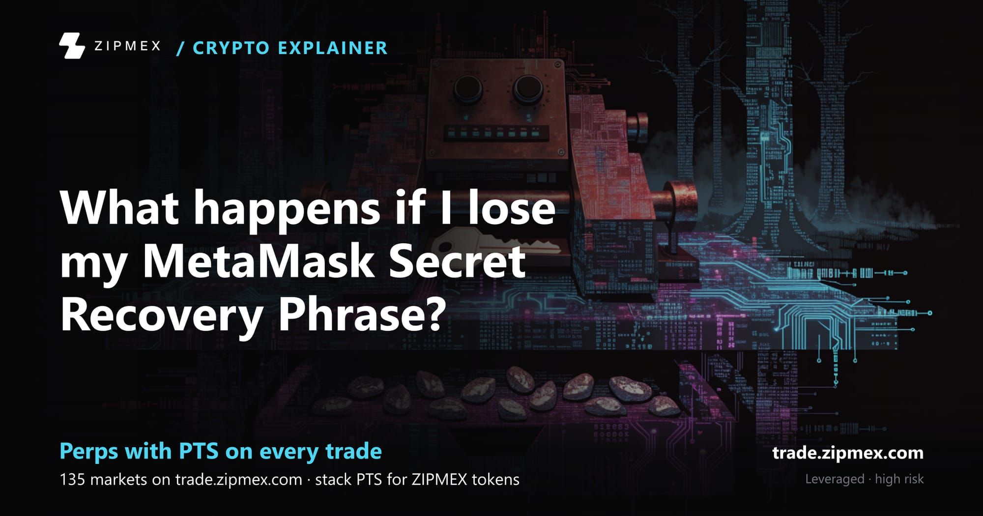 How to Set Up a MetaMask Wallet: Complete Beginner's Guide (2026)