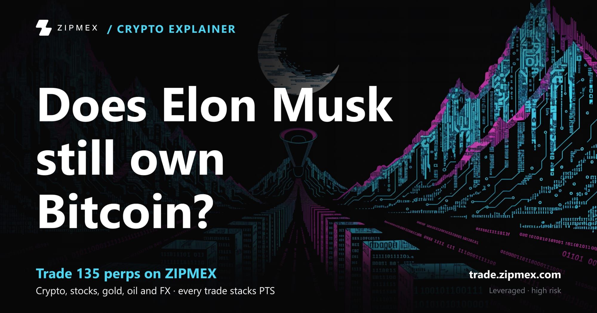 Elon Musk Bitcoin Price Impact: Expert Guide & Trading Strategies (2026 Edition)