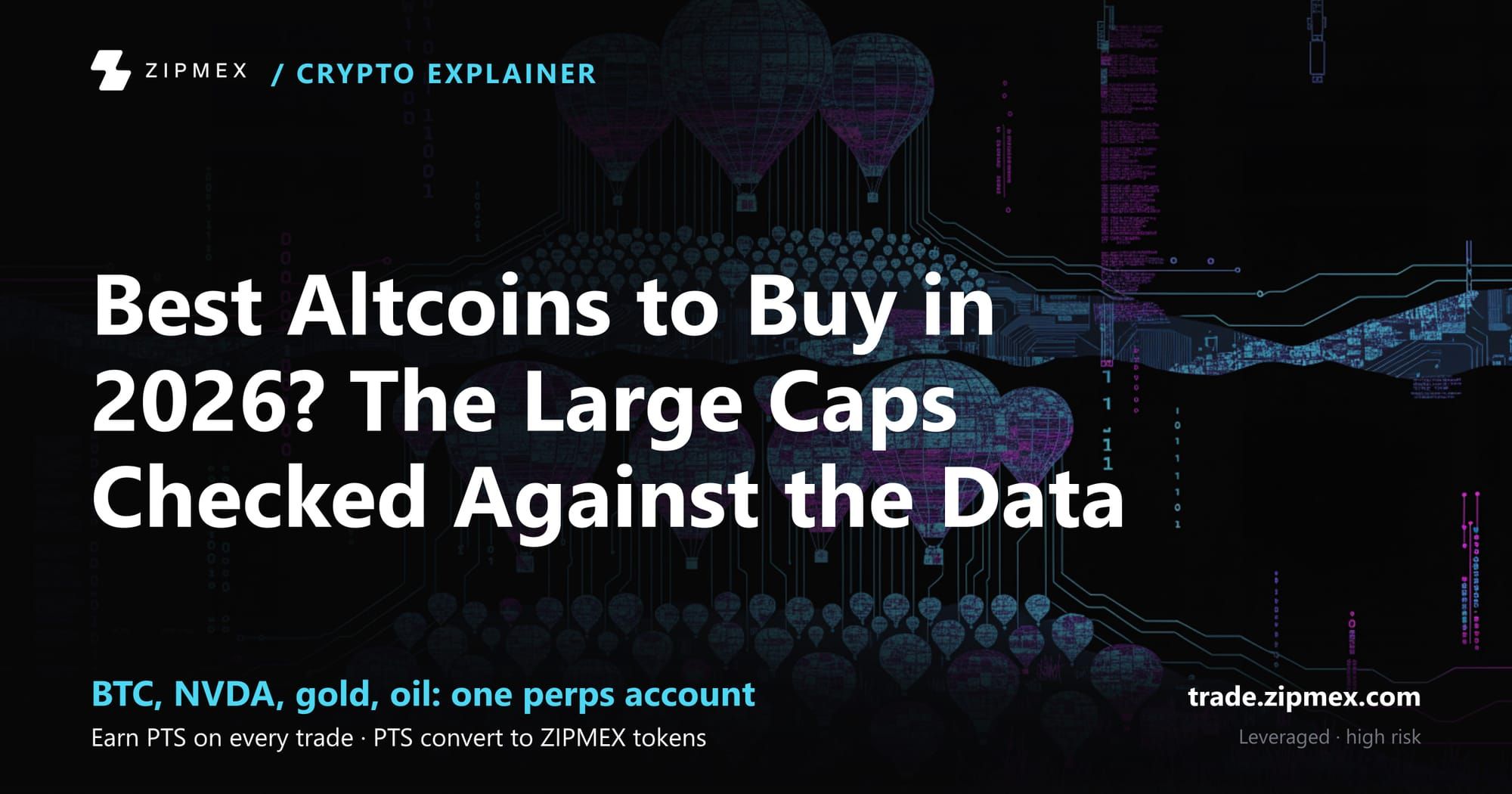 Best Altcoins to Buy in 2026? The Large Caps Checked Against the Data