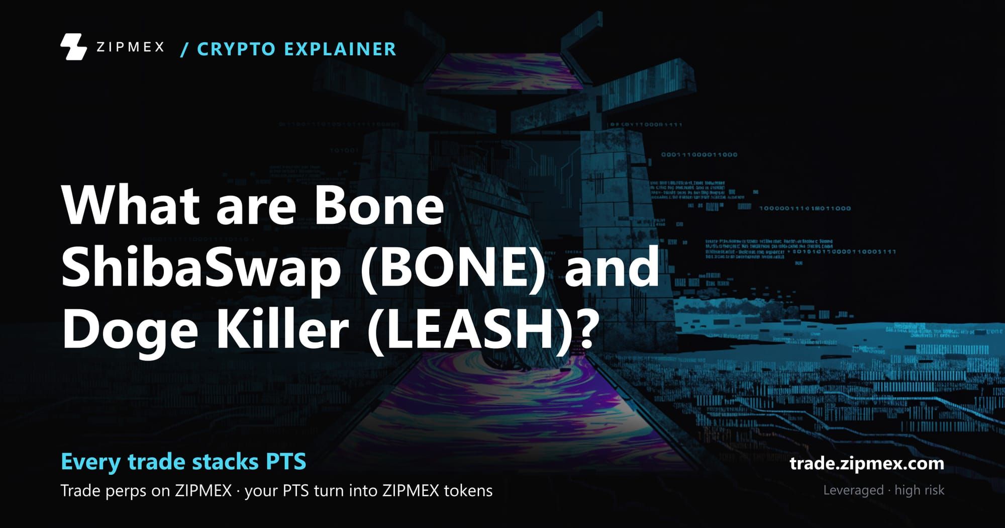 ShibaSwap: Features and How to Use It