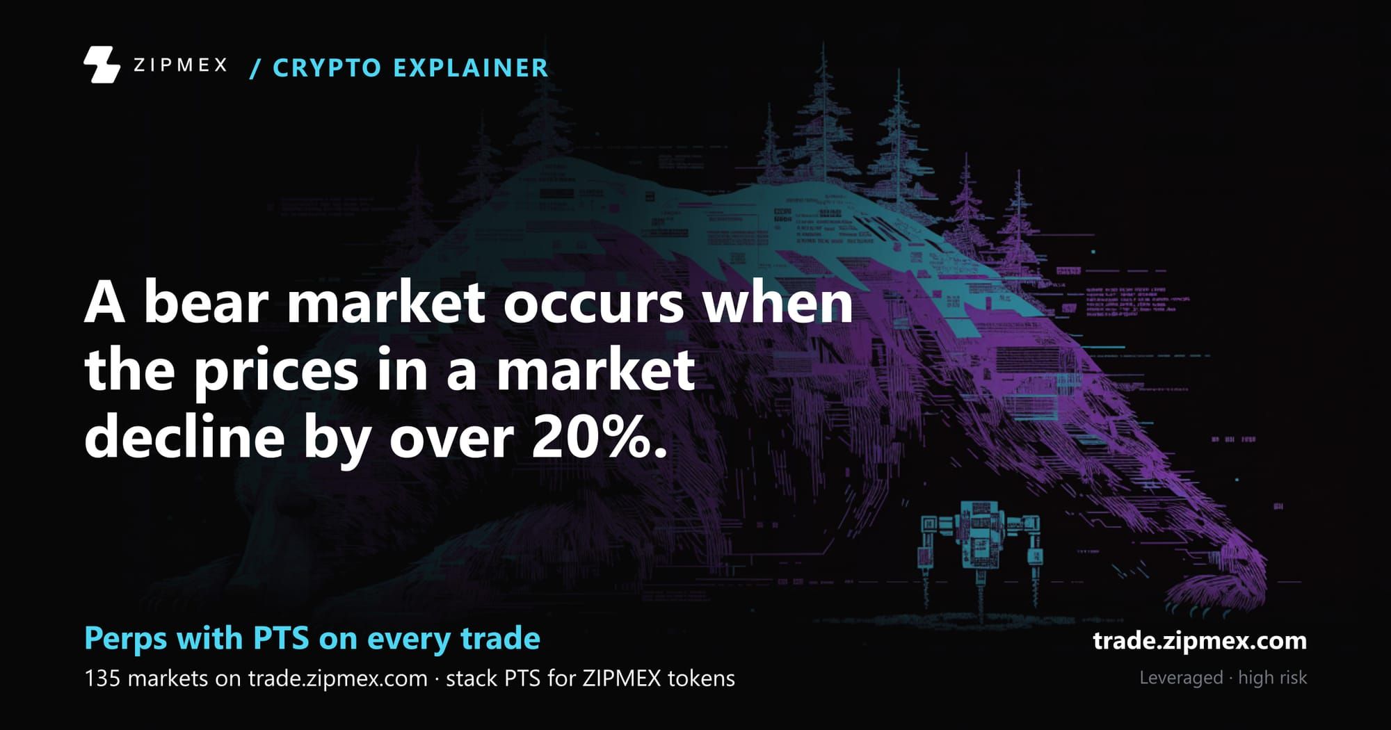 5 Things to Do in a Crypto Bear Market