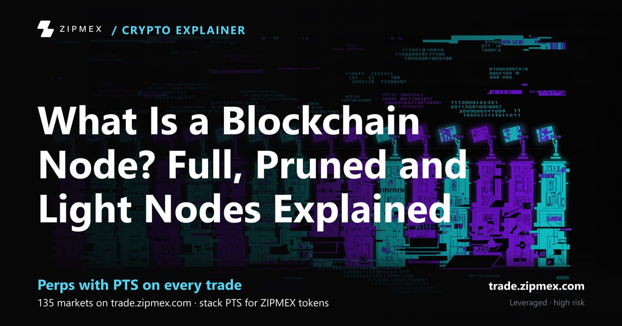What Is a Blockchain Node? Full, Pruned and Light Nodes Explained