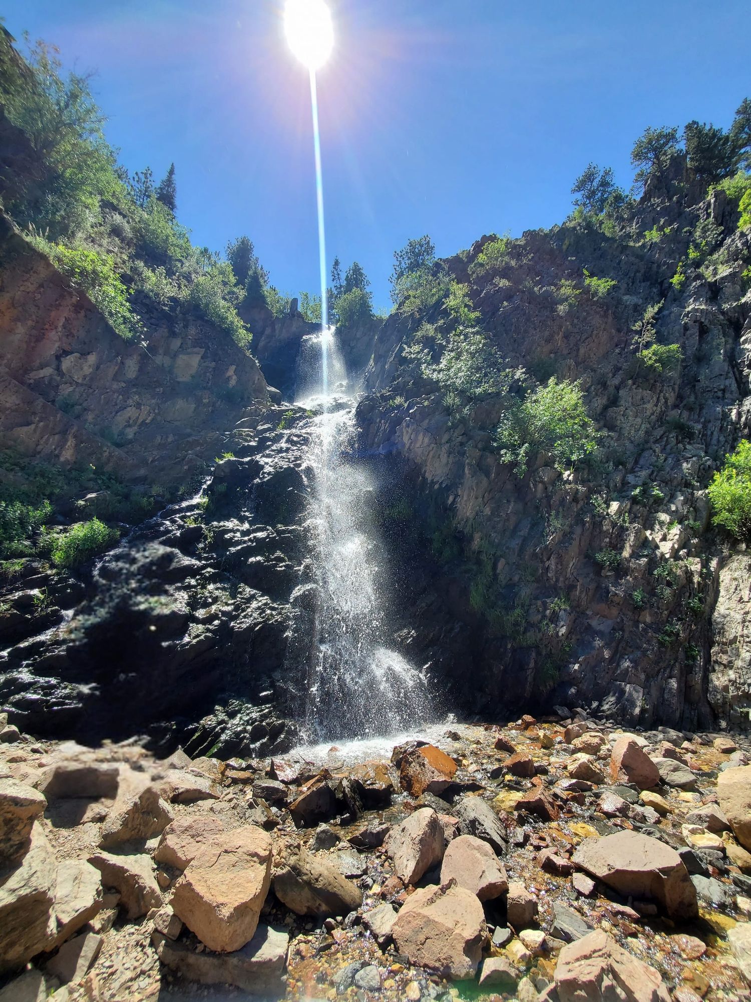 Summer in Wyoming 2024