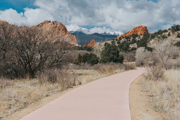 Mai Rose Pregnancy Photos