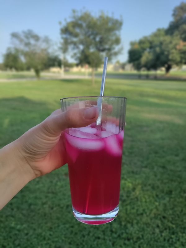 Prickly Pear Coffee, Foraged Collection Tour, Homeschool Day