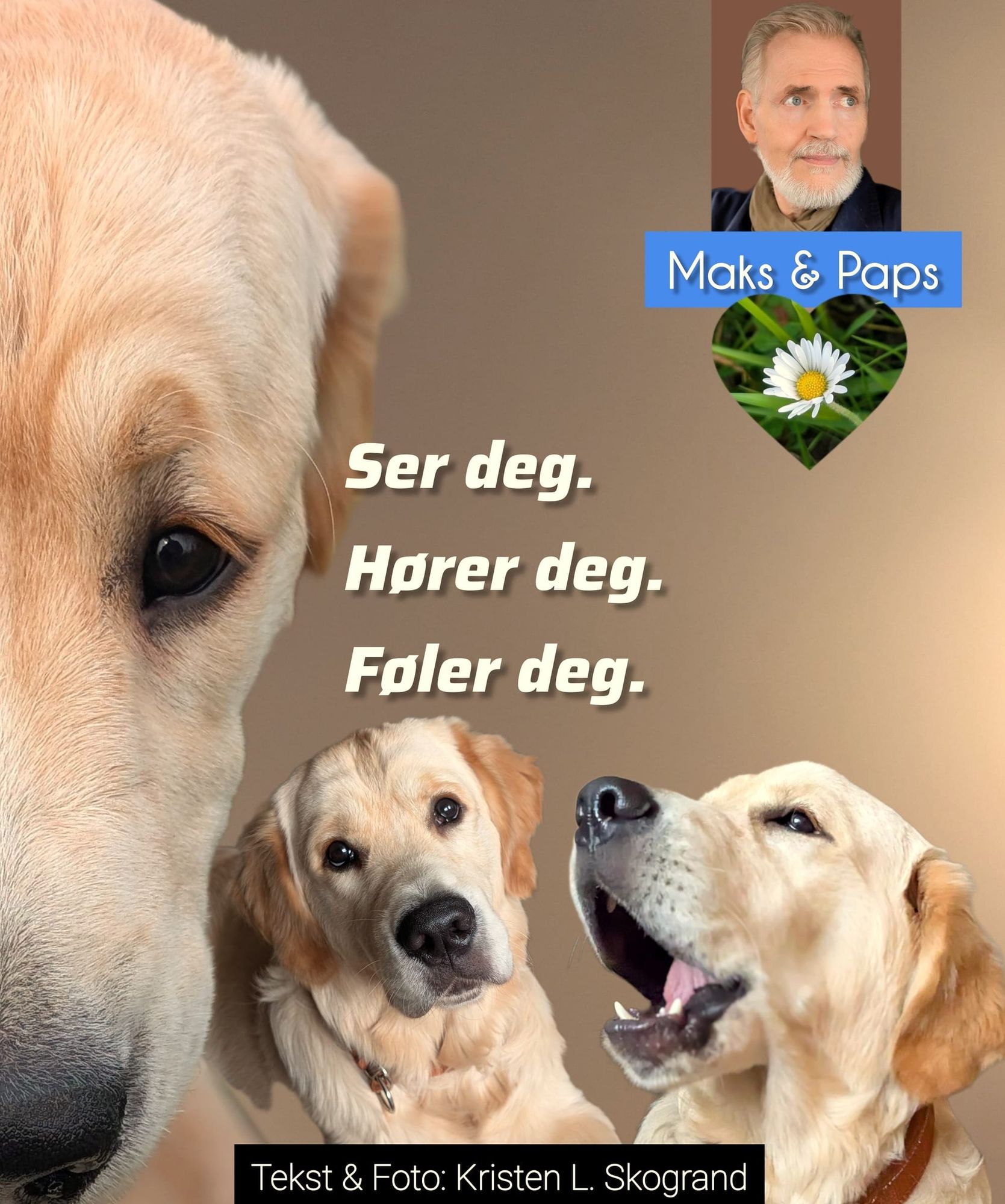 Forklart eller forstått?